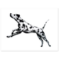 2e0abc76-2c0c-49b0-baf3-e1f0cf9eb015