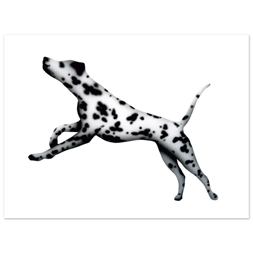 2e0abc76-2c0c-49b0-baf3-e1f0cf9eb015