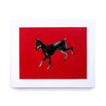 Red doberman