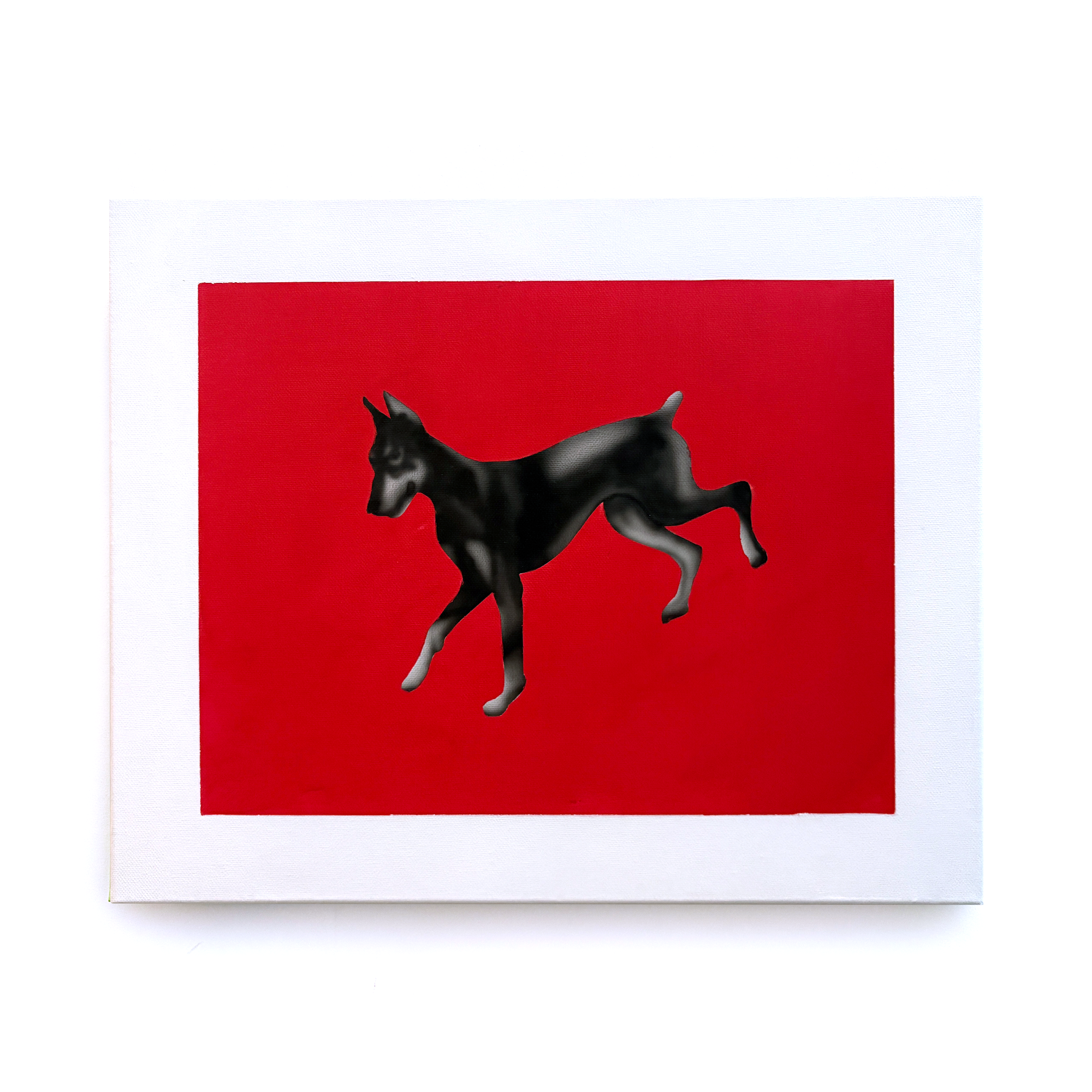 Red doberman